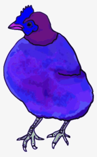 Vector Clip Art
