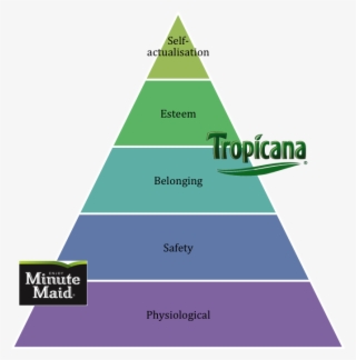 The Place Of Minute Maid And Tropicana In Maslow Pyramid