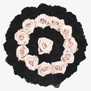Orb Grand New Sand And Black Rows Roses