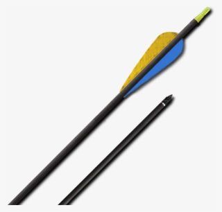 Carbon Arrows 30" With Nature Vanes