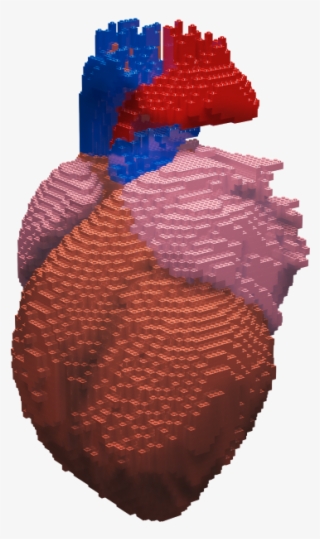 Heart Attack Symptoms Icon