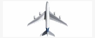 Wing Span