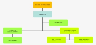 Organisation Chart