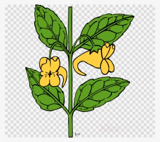 Outline Of A Flower Clipart Floral Ornament Cd-rom