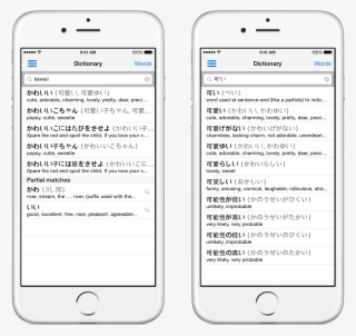Conjugation And Partial Search