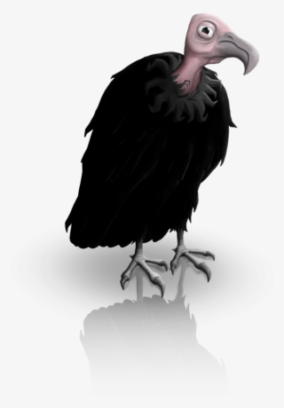 California Condor Survival Character