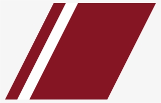 Latvian Coast Guard Racing Stripe