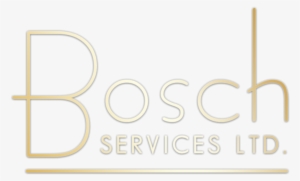 Bosch-shiny3 - Portable Network Graphics