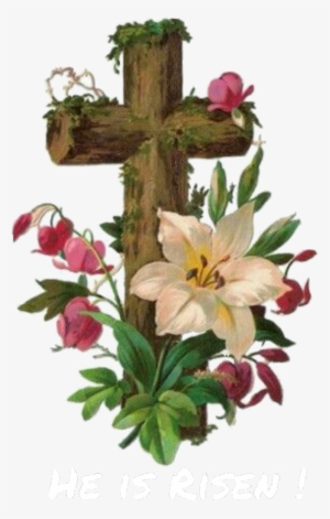 Jesus Has Risen Easter Jesus - Flowers Of Jesus Cross