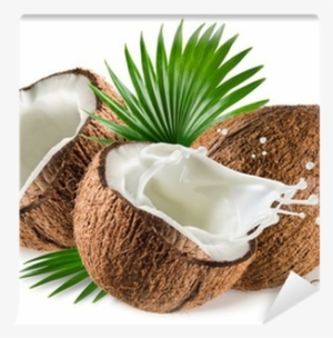 Coconuts With Milk Splash And Leaf On White Background - Z Natural Foods Coconut Milk Powder - Organic 5 Lbs