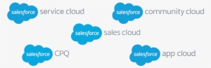 In Fact, Our Team Knows A Lot Of Different Platforms - Salesforce