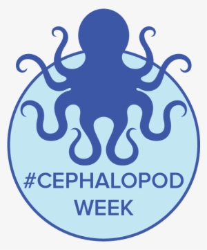 Cephalopod Movie Night- Events - Cephalopod Week