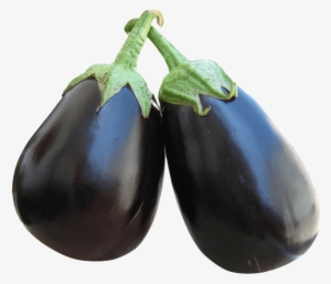 Eggplant Png Free Images Toppng Transparent - Brinjal Png