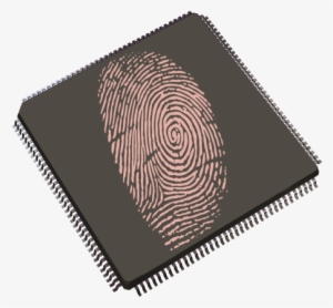 Fingerprint Microcontrollers - Arm Microcontroller