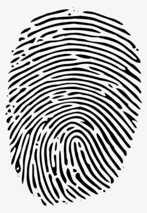 Fingerprint - Fingerprints Clip Art