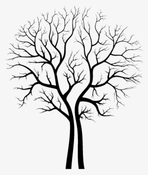 Tree Clip Art Transprent Png Free Download - Tree Drawing To Trace