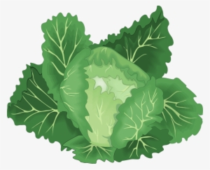 Png Black And White Library Collection Of Free Collards - Green Vegetable Vector Png