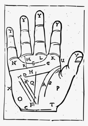 Palmistry Drawing Thumb Chart - Palm Reading Clip Art Png