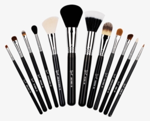 Range Of Makeup Brushes - Brochas Esenciales Para Maquillaje