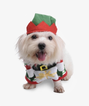 Cute Pet Dog Cat Clothes Christmas Fancy Costume Funny - Dog