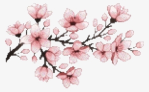 Sakura Flower Hanami Pink Aesthetic Japanese Japan - Cherry Blossom Tree Transparent Aesthetic