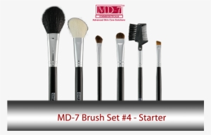 Starter Makeup Brush Set - Md Makeup Brushes