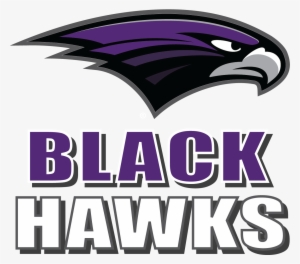 Bh Black Hawks - Bloomfield Blackhawks