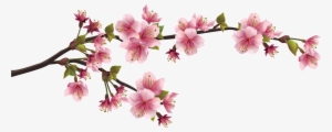 Sakura Png - Cherry Blossom Branch Png