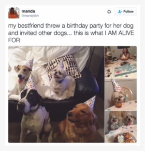 31 Hilarious Times Twitter Had Thoughts About The Majesty - Birthday
