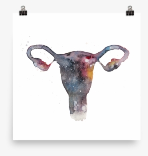 The Uterverse Poster - Woman