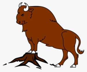 Buffalo, Bison, Bull, Beast, Wildlife - Bufalo Desenho Png