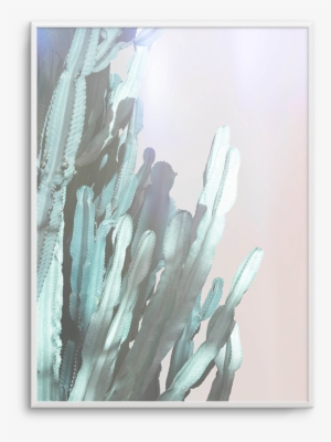 Dreamy Cactus No 1