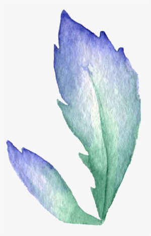 Aster Flower Leaf Transparent Decorative - Portable Network Graphics