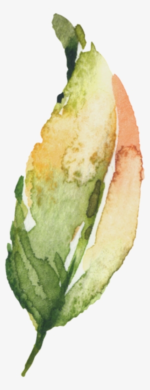 Watercolor Painting