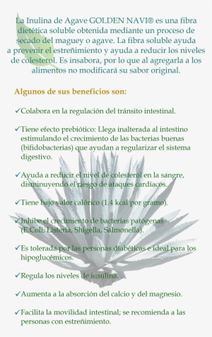 Inulina De Agave - Document