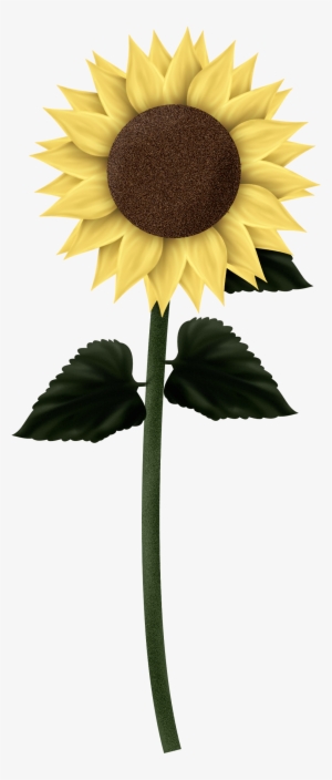 Sunflowers - .png Sunflowers