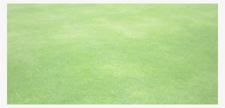 Adams Golf Clubs