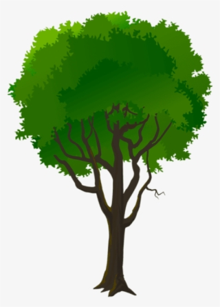 Free Png Download Tree Decorative Transparent Png Images