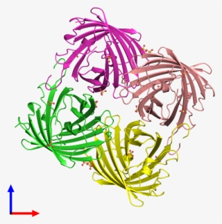 Pdb 2vvh Coloured By Chain And Viewed From The Front