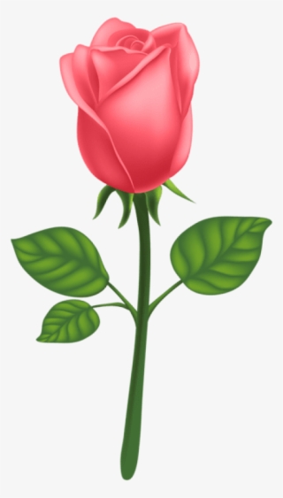 Download Red Deco Rose Png Images Background