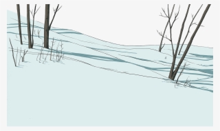 Snow Foreground With Trees