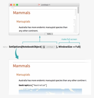 Make A Notebook Full Screen