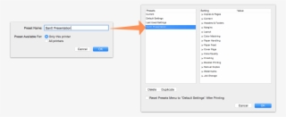 Saving A New Printing Preset From Omniplan 3's Print