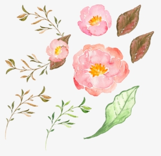 Flowers Pink Flower Transprent Png Free