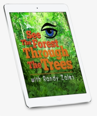 See The Forest Through The Trees