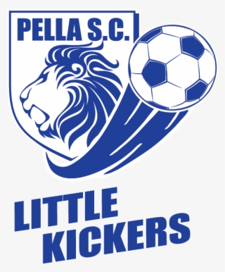Little Kickers - Professionally Managed