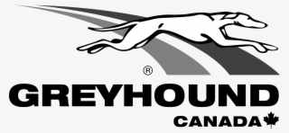 Greyhound Logo Png