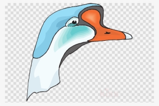 Cabeza Ganzo Png Clipart Duck Goose Clip Art