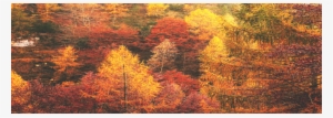 Fcdinner Background - Portable Network Graphics