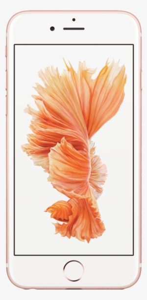 Iphone 6s 32gb Rose Gold